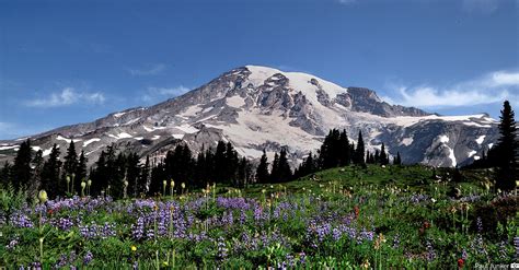 mt rainier webcams|Mt. Rainier Webcams & Weather 